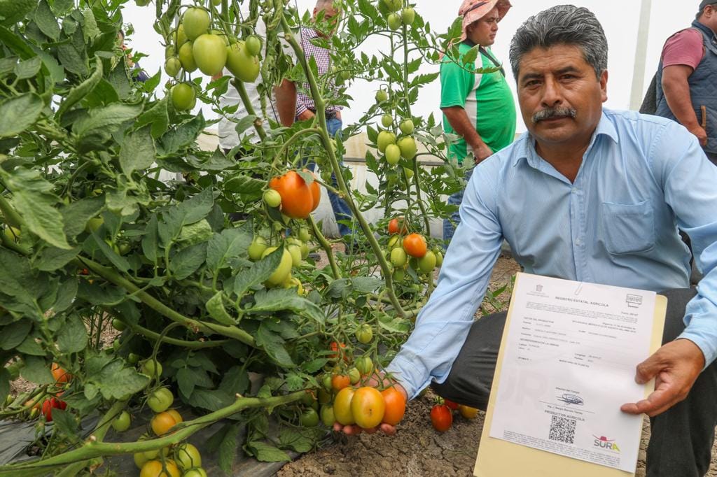 1693658664 953 En colaboracion con el Gobierno del Estado de Mexico entregamos