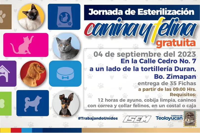 1693660151 Jornada de Esterilizacion Canina y Felina jpg