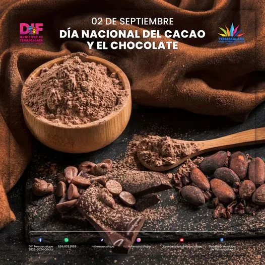 1693664685 El cacao es un cultivo y un producto ancestral representativo jpg