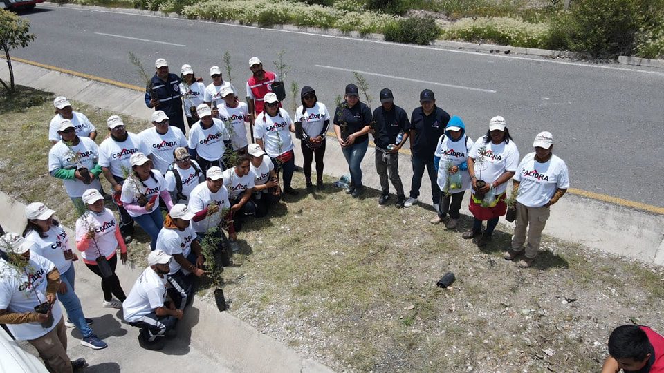 1693699203 474 LIMPIEZA Y REFORESTACION BULEVAR HACIA EL ENTRONQUE CON LA ARCO