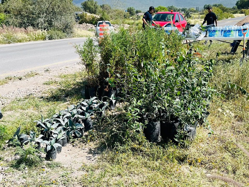 1693699208 91 LIMPIEZA Y REFORESTACION BULEVAR HACIA EL ENTRONQUE CON LA ARCO