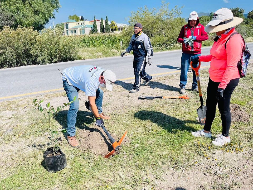 1693699213 621 LIMPIEZA Y REFORESTACION BULEVAR HACIA EL ENTRONQUE CON LA ARCO