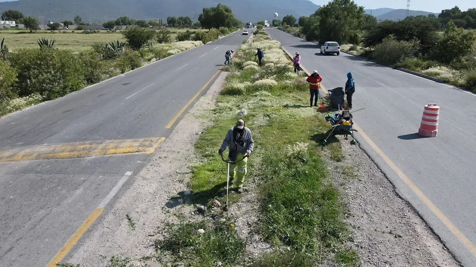 1693699242 LIMPIEZA Y REFORESTACION BULEVAR HACIA EL ENTRONQUE CON LA ARCO jpg