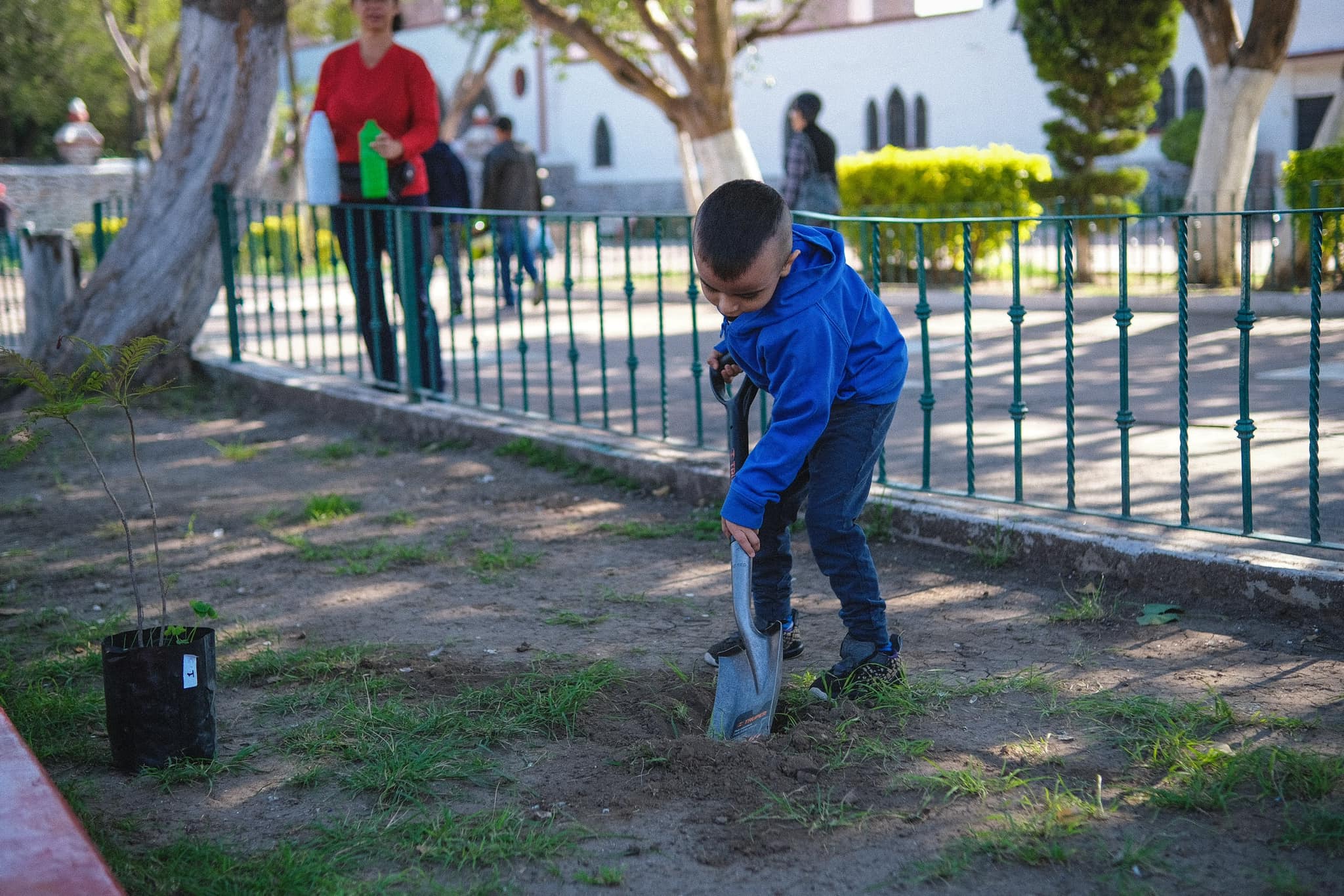 1693748976 688 Cerca de 800 arbolitos fueron entregados para reforestar cada espacio