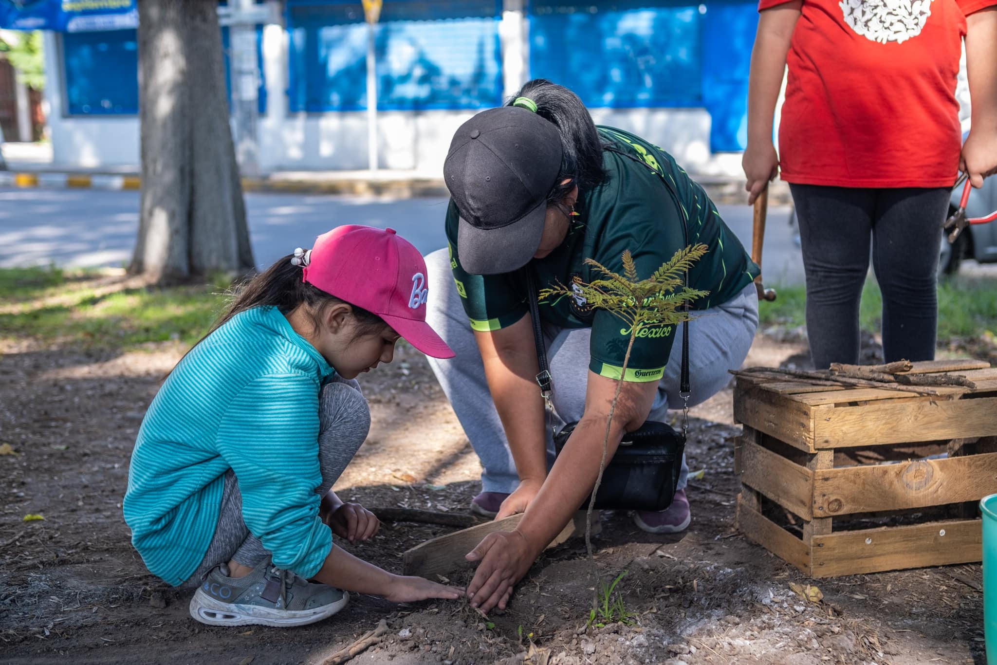 1693748980 949 Cerca de 800 arbolitos fueron entregados para reforestar cada espacio