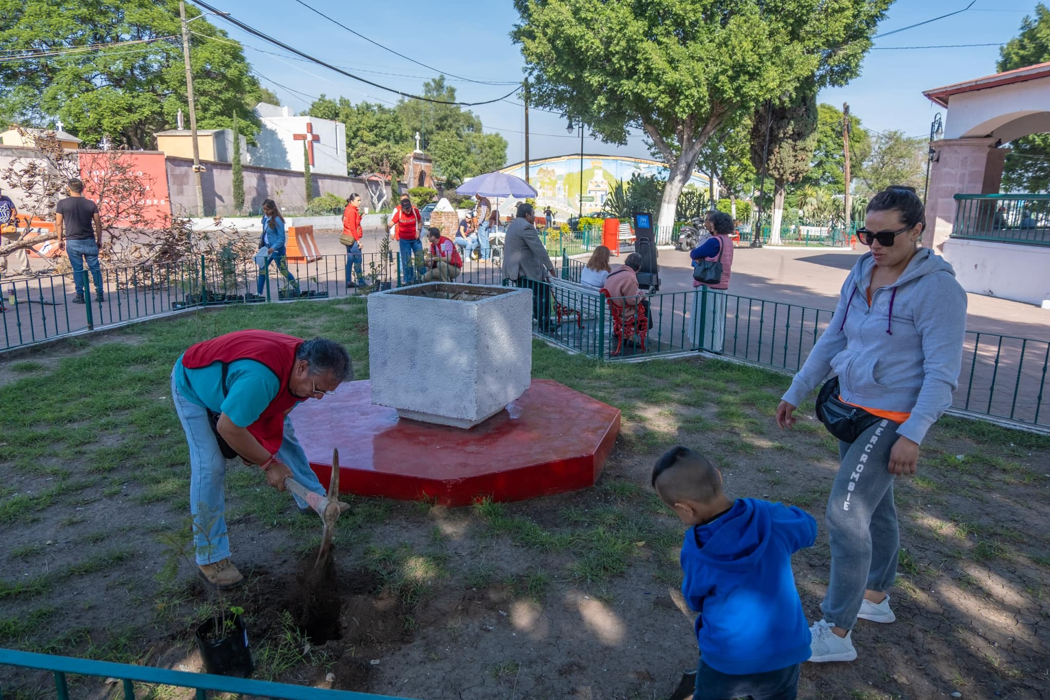 1693748987 878 Cerca de 800 arbolitos fueron entregados para reforestar cada espacio