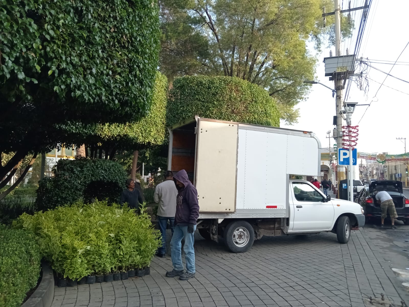 1693761095 845 El Ayuntamiento de Texcoco realiza la siembra de plantas de