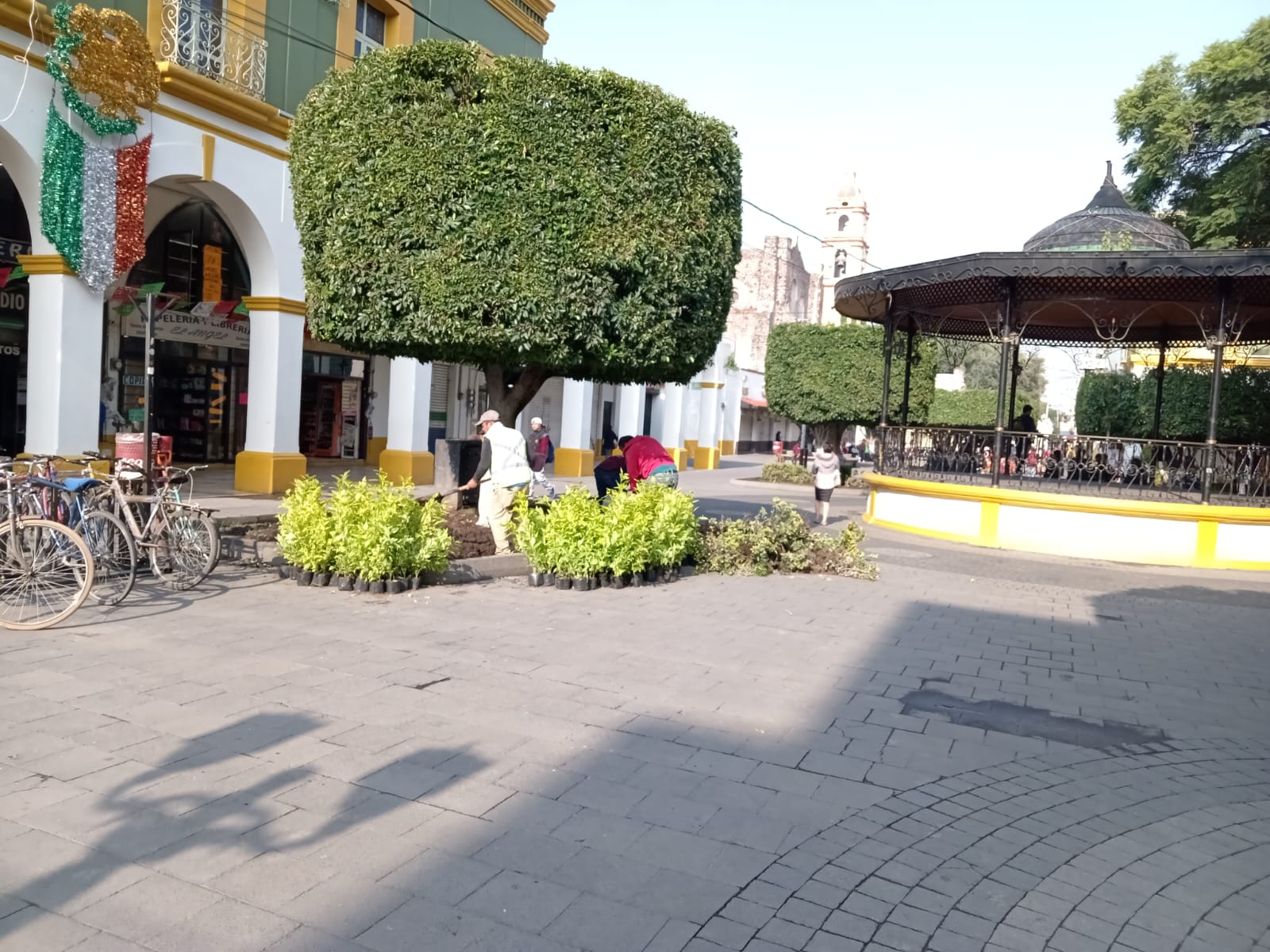 1693761098 561 El Ayuntamiento de Texcoco realiza la siembra de plantas de