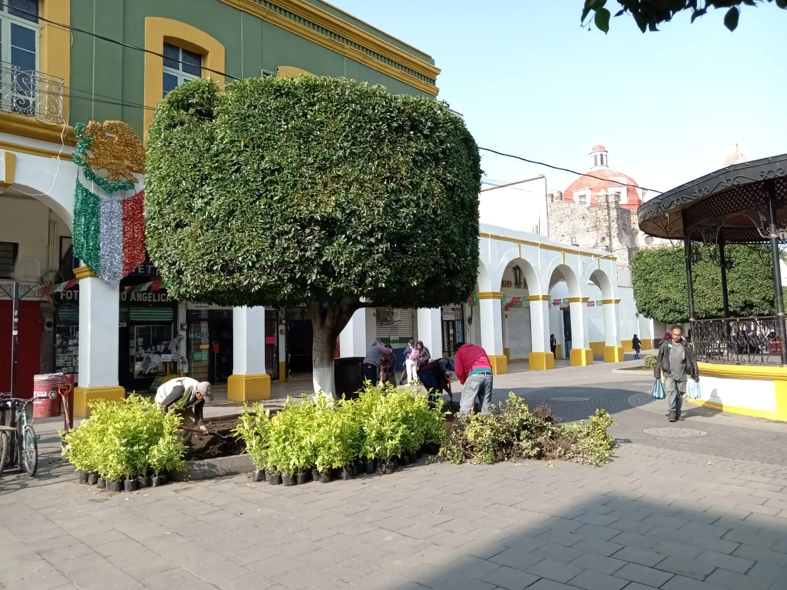 1693761113 El Ayuntamiento de Texcoco realiza la siembra de plantas de jpg