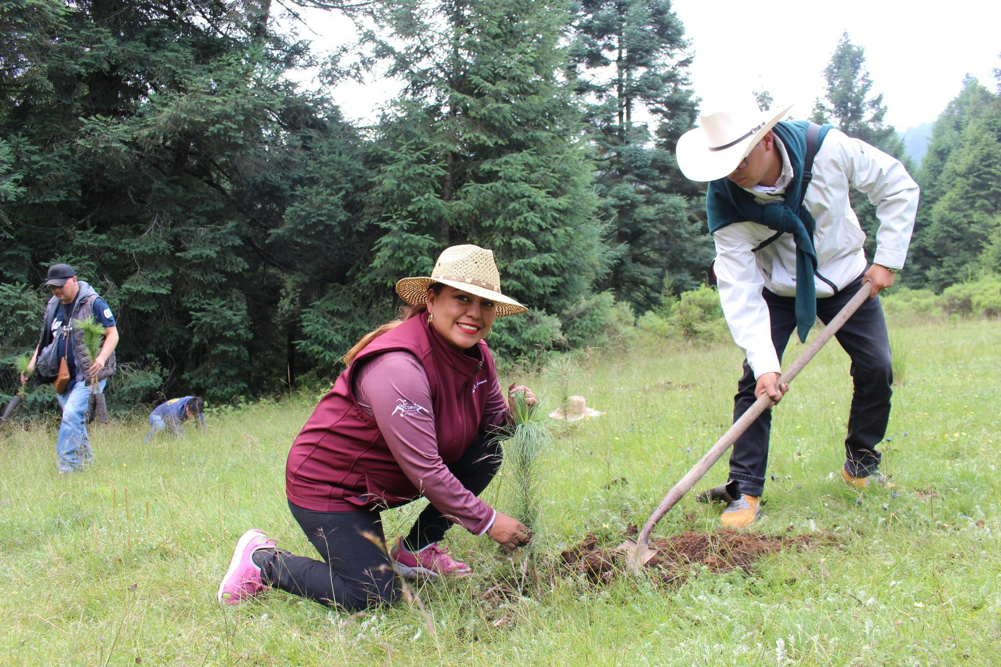 1693780921 589 SEMBRANDO POR OTZOLOTEPEC – Turno de reforestacion al paraje Tres