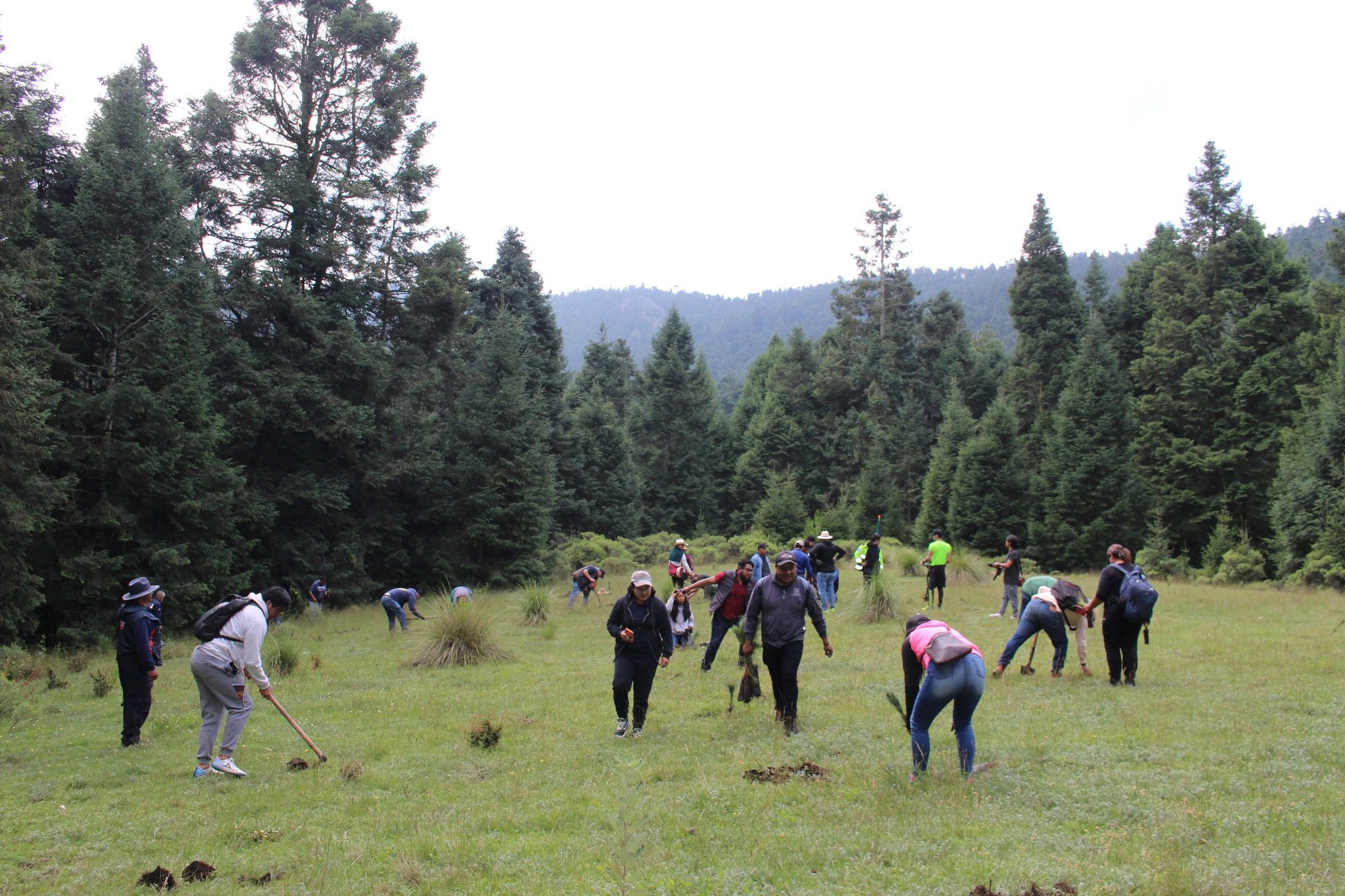 1693780925 191 SEMBRANDO POR OTZOLOTEPEC – Turno de reforestacion al paraje Tres