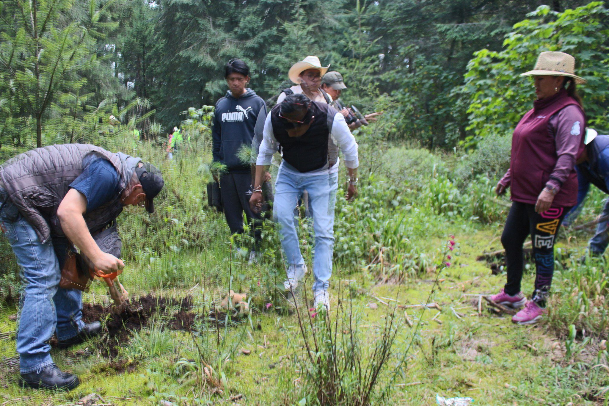 1693780928 524 SEMBRANDO POR OTZOLOTEPEC – Turno de reforestacion al paraje Tres