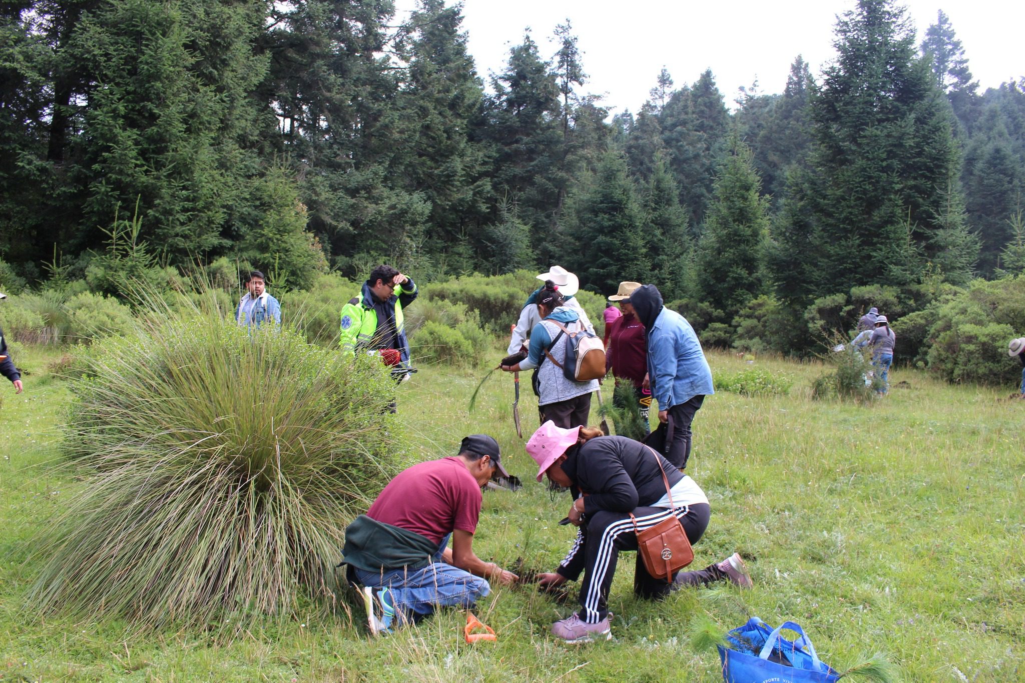 1693780931 31 SEMBRANDO POR OTZOLOTEPEC – Turno de reforestacion al paraje Tres