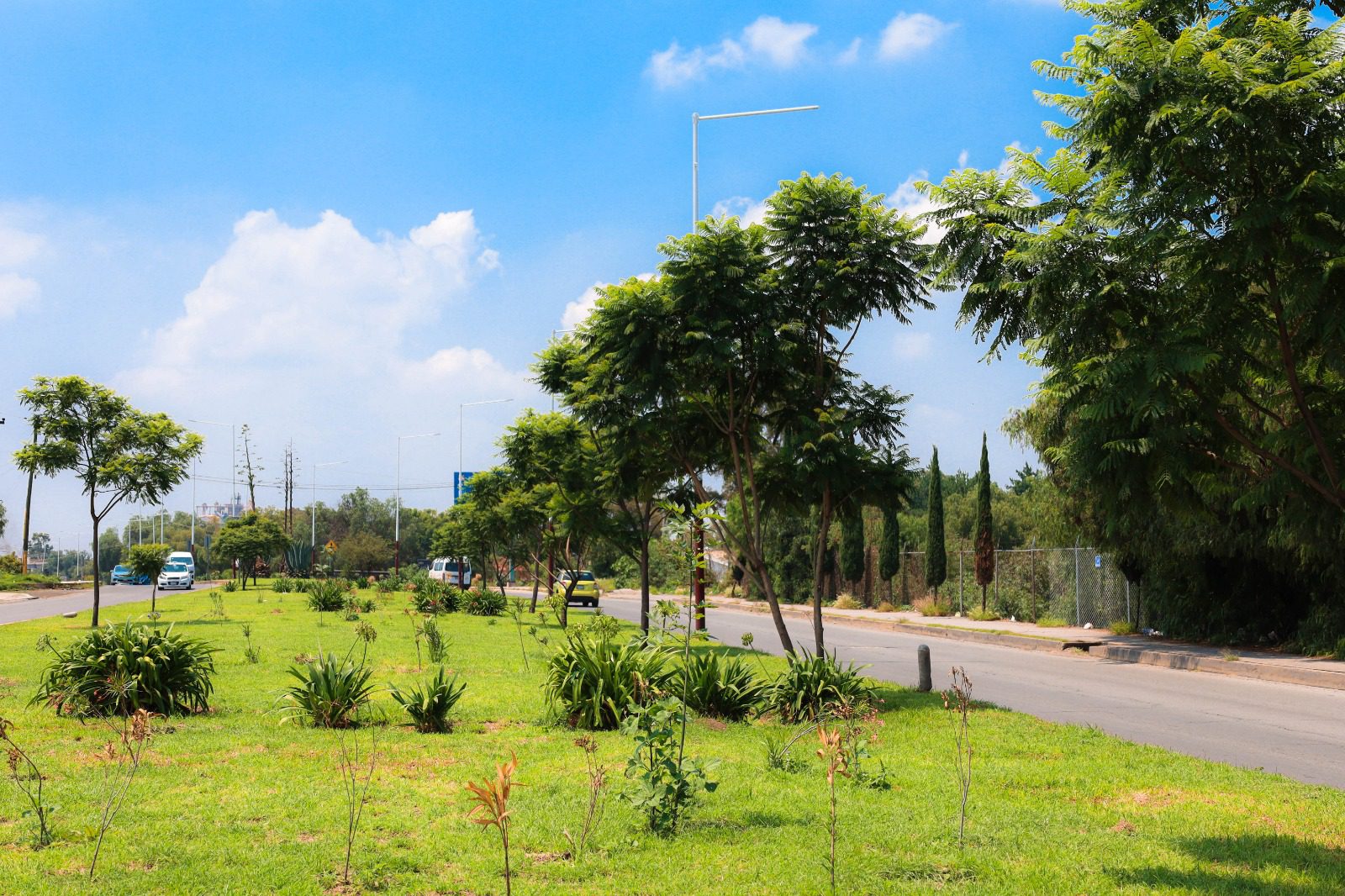 1693847582 669 El Ayuntamiento de Texcoco realizo mantenimiento a los camellones de