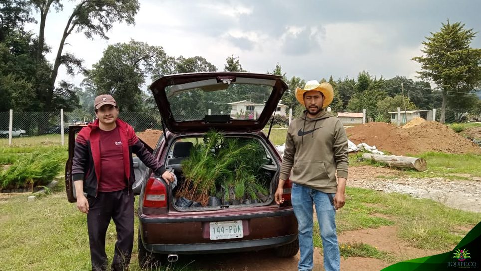 1693849022 90 La donacion de arboles por parte del personal de la