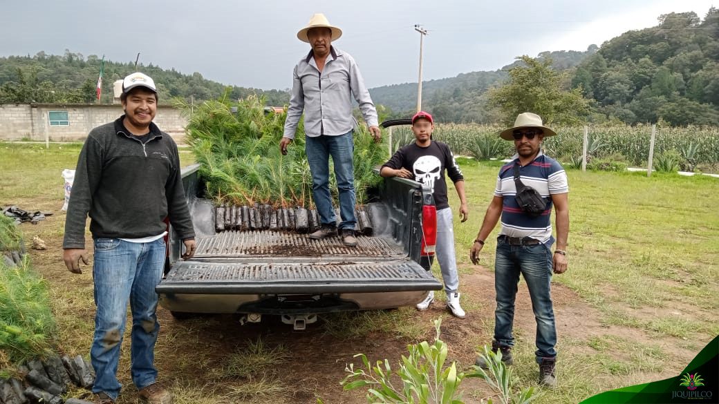 1693849026 214 La donacion de arboles por parte del personal de la