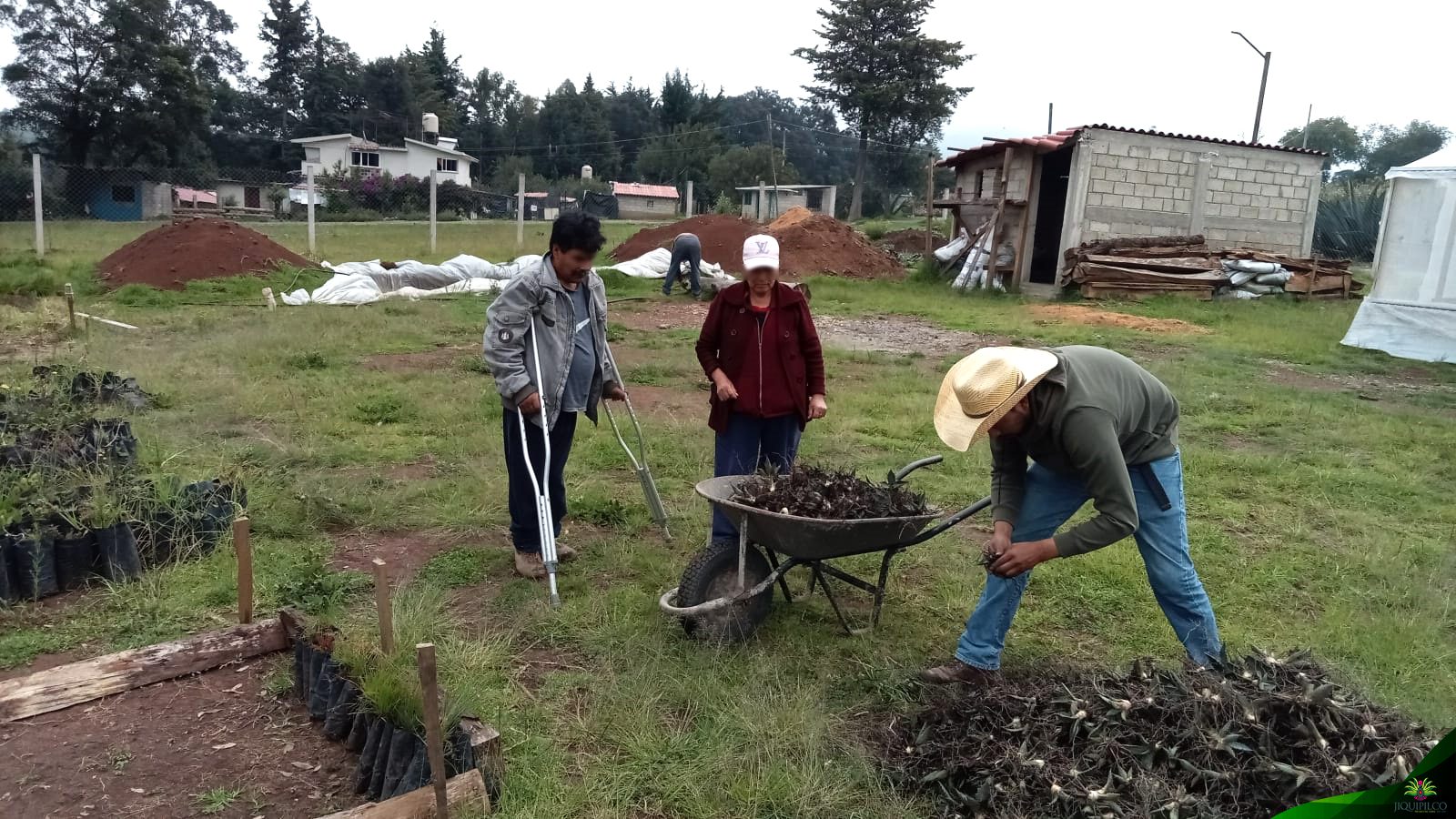 1693849031 150 La donacion de arboles por parte del personal de la