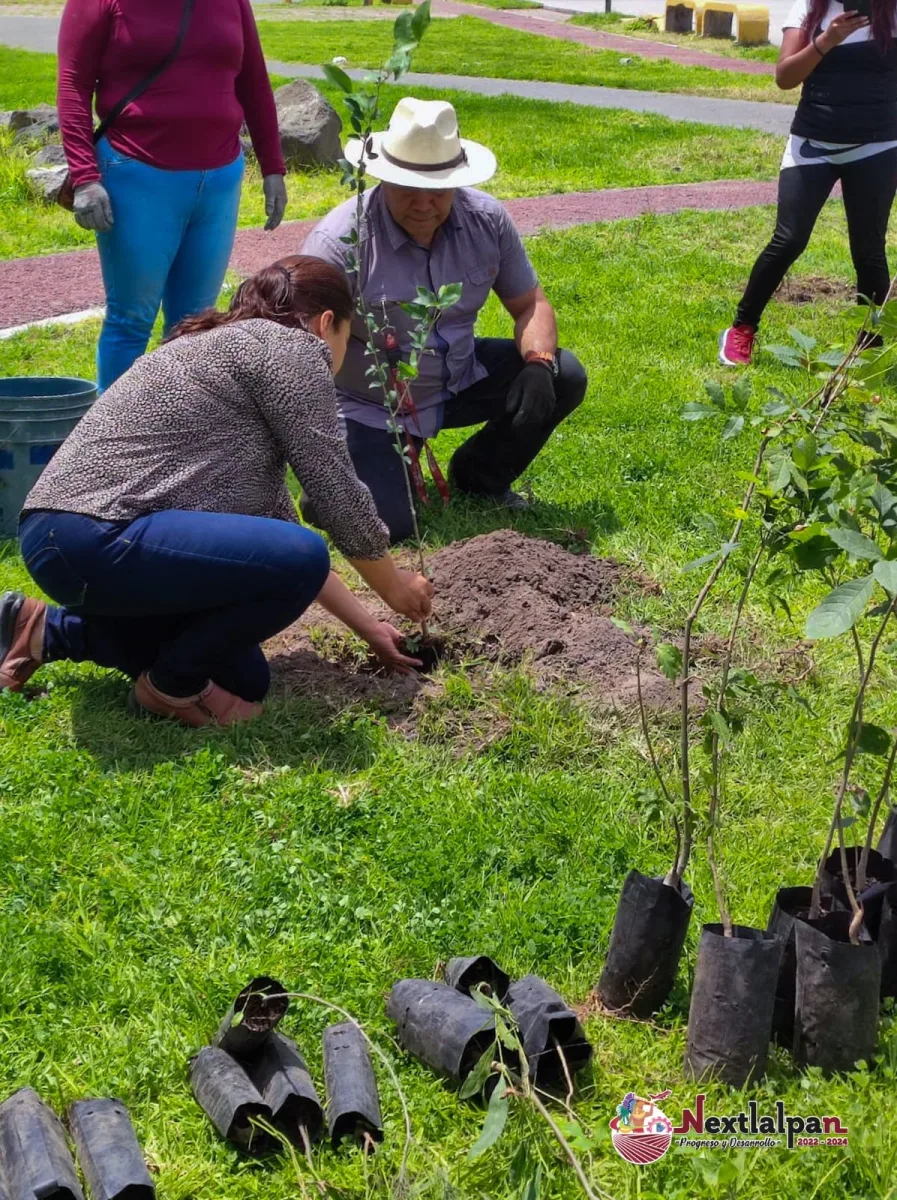 1693860293 682 Hoy se llevo a cabo otra jornada de reforestacion Esta