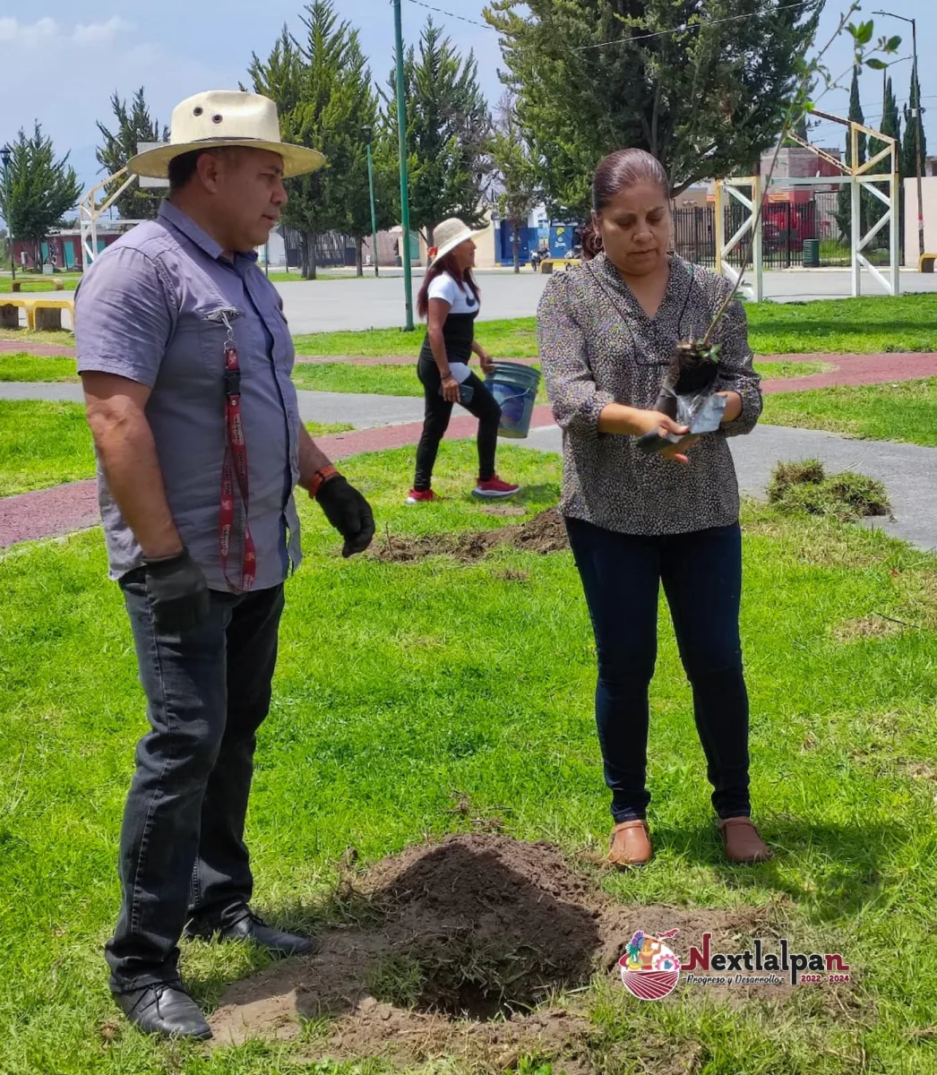 1693860301 58 Hoy se llevo a cabo otra jornada de reforestacion Esta