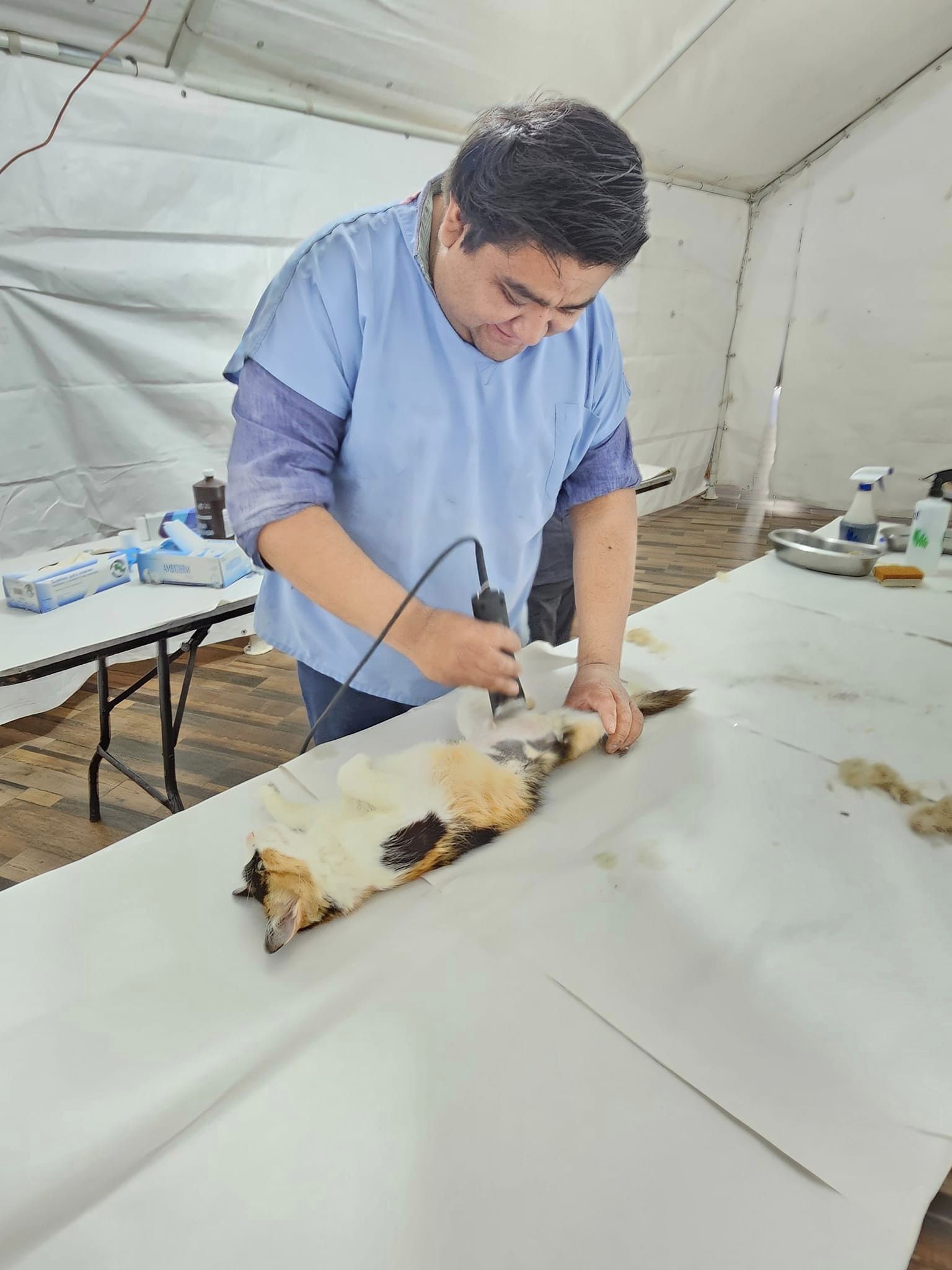 1693938692 159 Esterilizacion Canina y Felina El Gobierno Municipal de Texcalyacac a