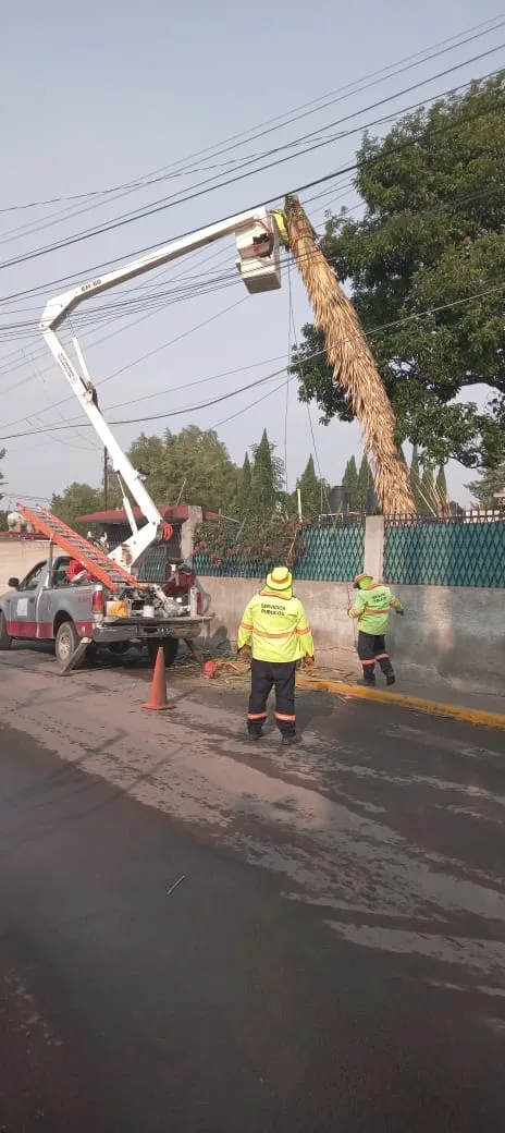 1693941512 En Maquixco y Palomar Maquixco 82 luminarias fueron revisadas reparadas jpg