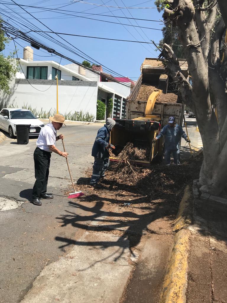 1693944327 825 Personal de ServiciosPublicos realizaron poda de arbol y embellecimiento en