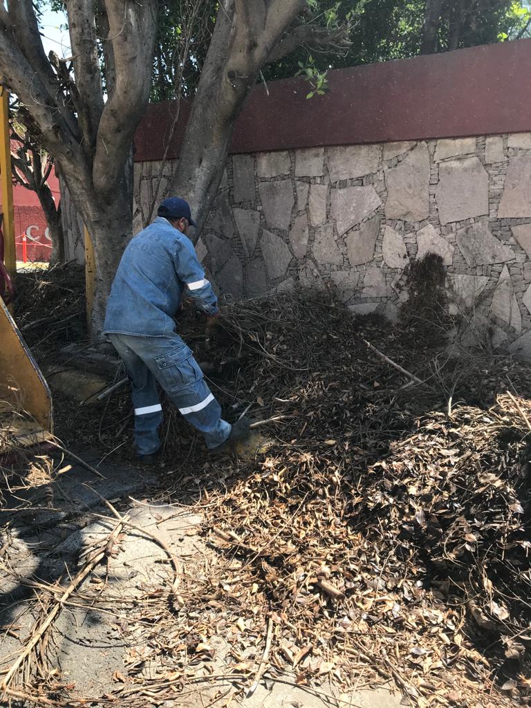 1693944332 241 Personal de ServiciosPublicos realizaron poda de arbol y embellecimiento en