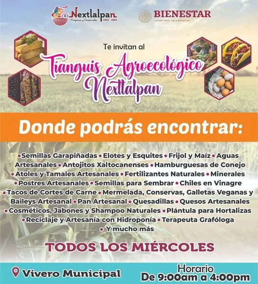 1693946889 TIANGUIS AGROECOLOGICO NEXTLALPAN jpg