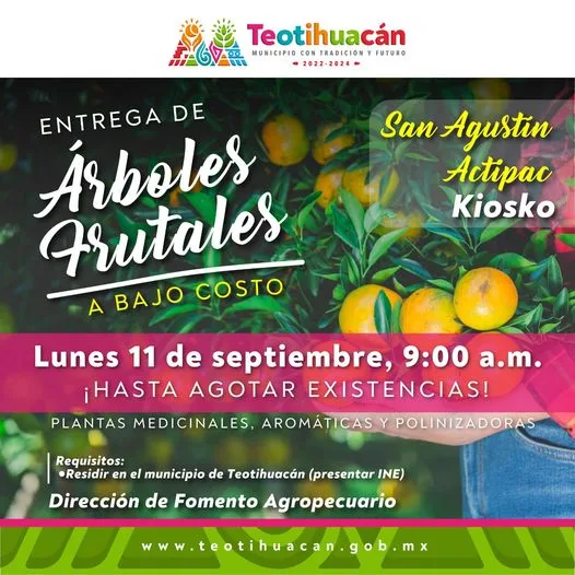 1693948740 Proxima entrega de arboles frutales a bajo costo jpg