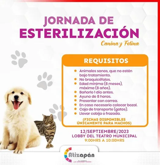 1694001763 Unicamente estaran disponibles fichas para caninos Macho los lugares se jpg