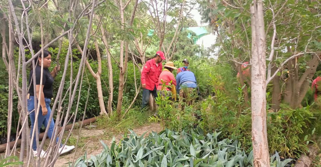 1694003572 975 El equipo de Ecologia realizo ayer una importante colecta de