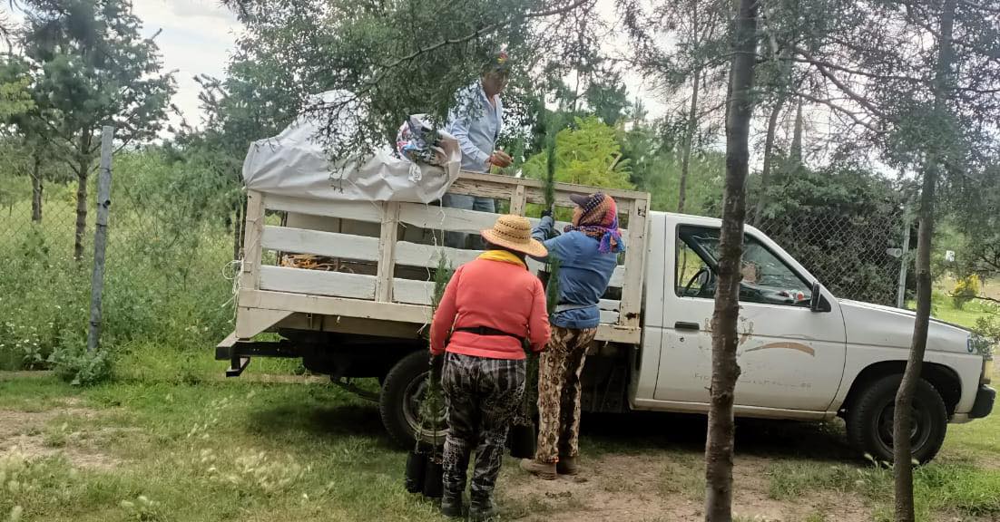 1694003584 486 El equipo de Ecologia realizo ayer una importante colecta de