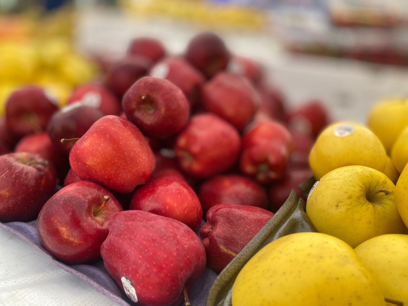 1694018085 64 Te compartimos fotografias de la gran variedad de productos que