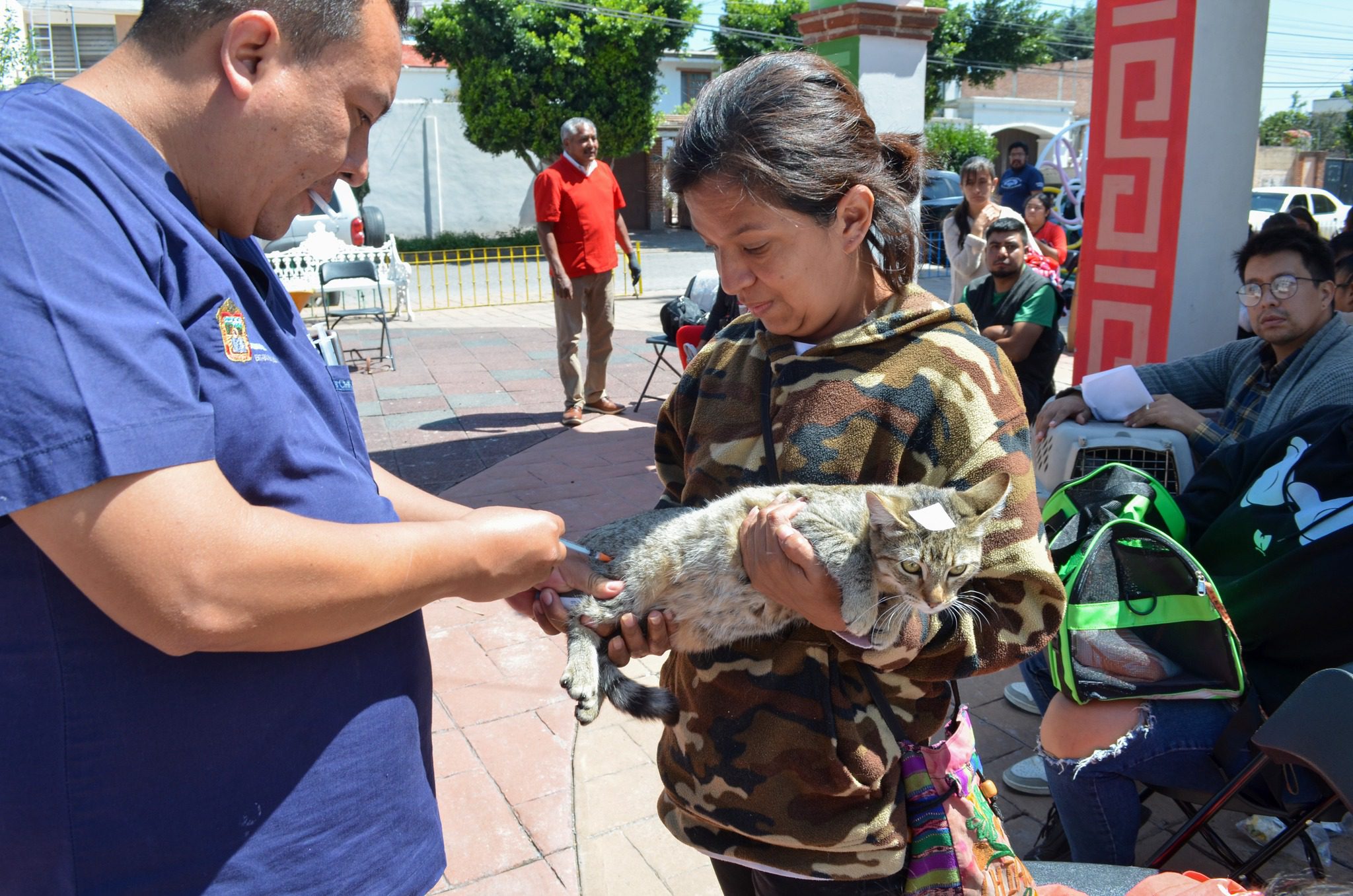 1694035292 367 Las jornadas de esterilizacion gratuita realizadas en las comunidades de