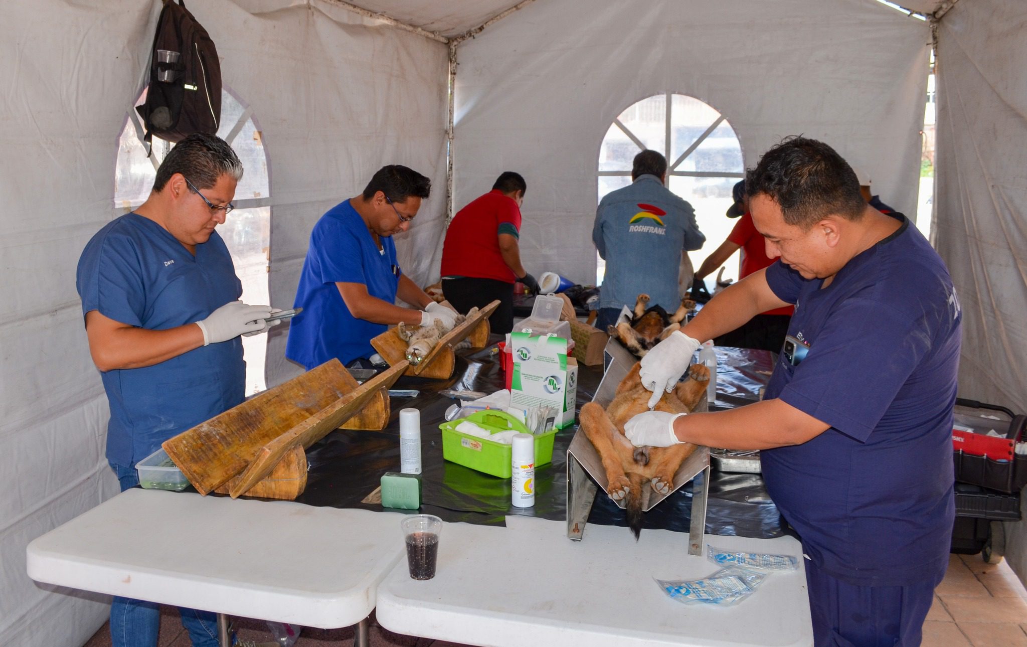 1694035295 583 Las jornadas de esterilizacion gratuita realizadas en las comunidades de