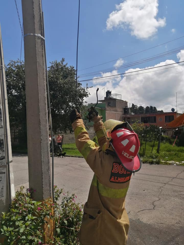 1694038295 605 El dia de hoy se recibe reporte ciudadano de cables