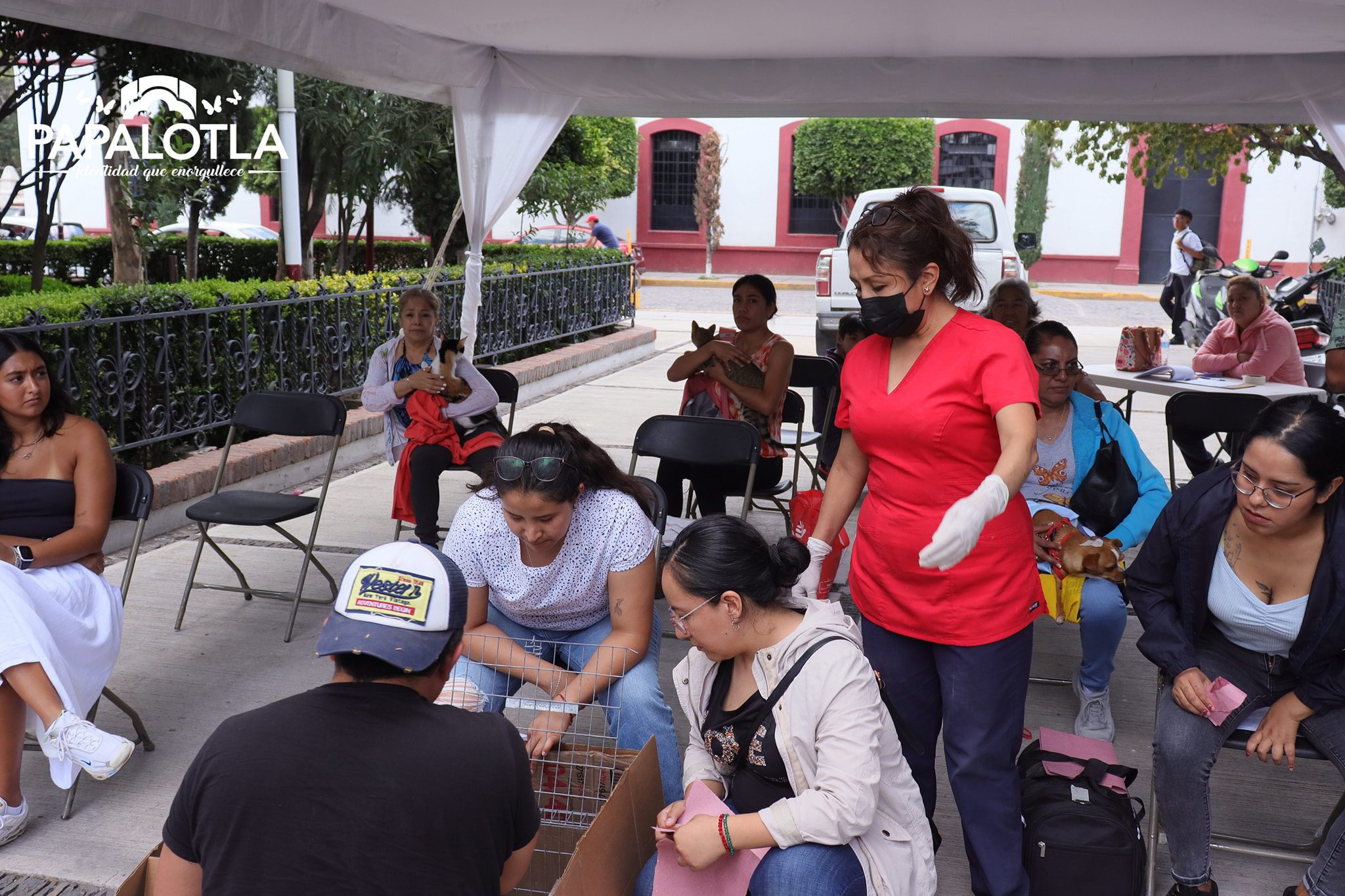 1694097929 341 PorAmorATuMascota Las Jornadas de Esterilizacion Canina y Felina 2023