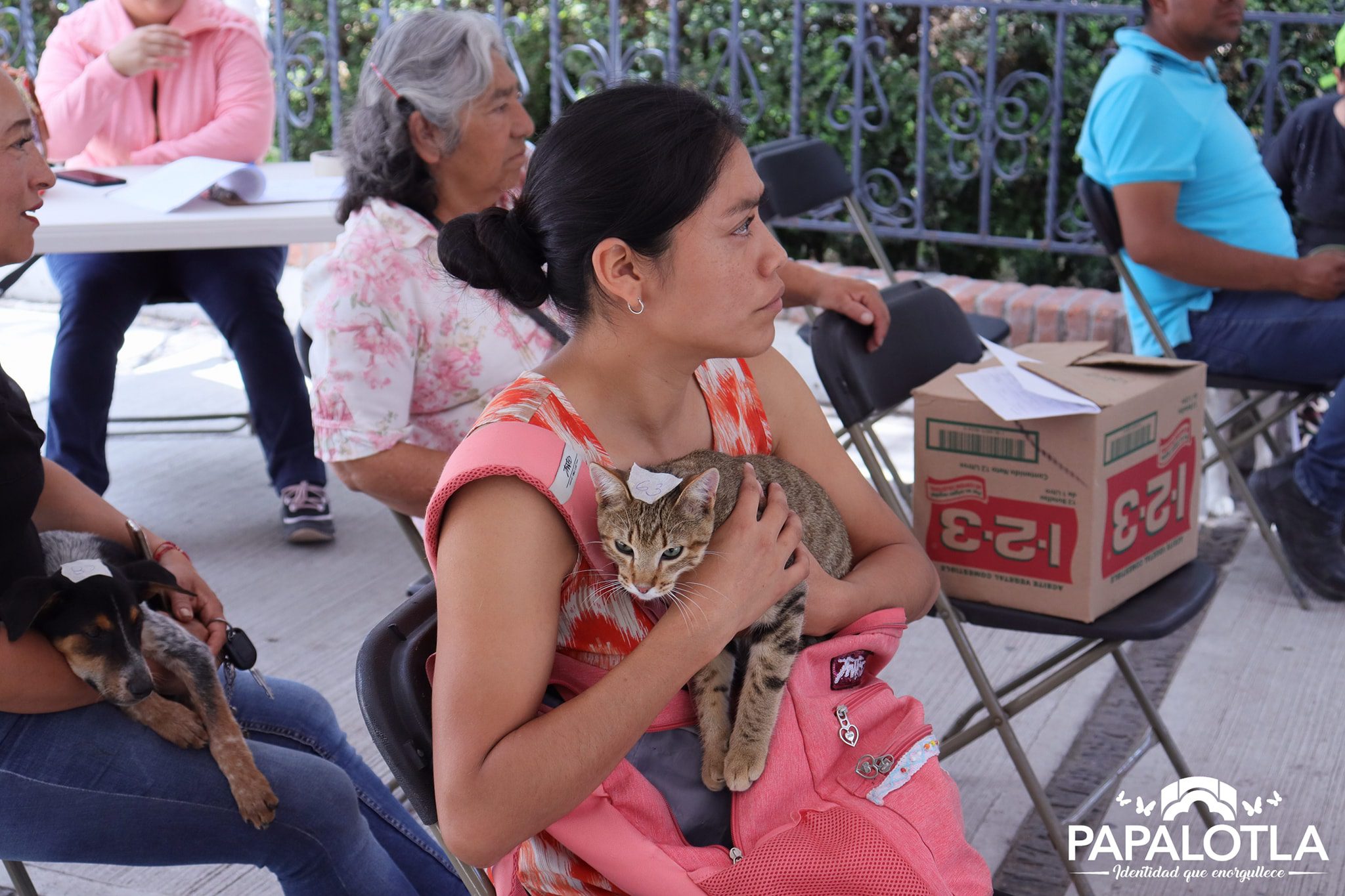 1694097933 422 PorAmorATuMascota Las Jornadas de Esterilizacion Canina y Felina 2023