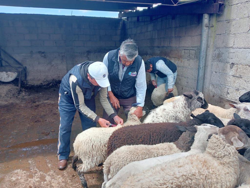 1694098307 667 ¡El programa municipal a bajo costo de medicina preventiva para