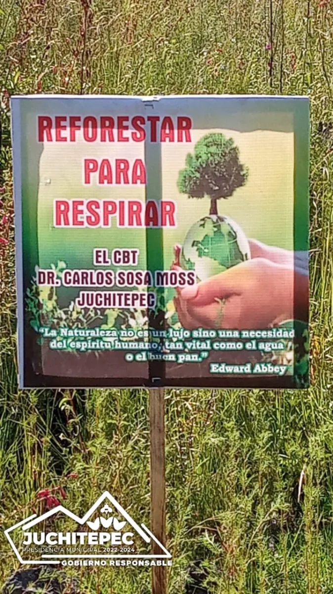 1694127662 855 Reforestacion ¡Unidos por un entorno mas verde y saludable