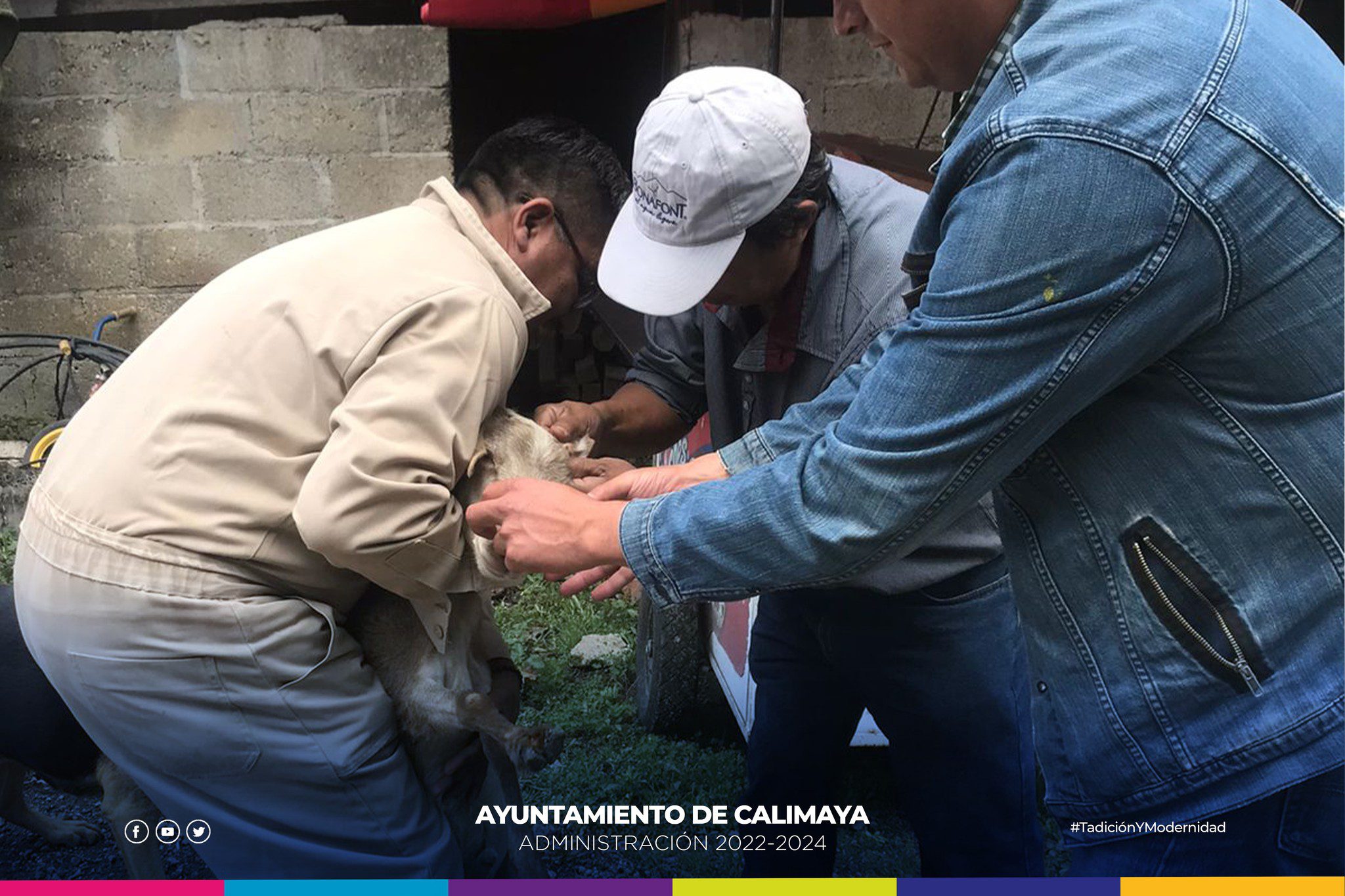 1694174685 486 En coordinacion con la Facultad de Medicina Veterinaria y Zootecnia