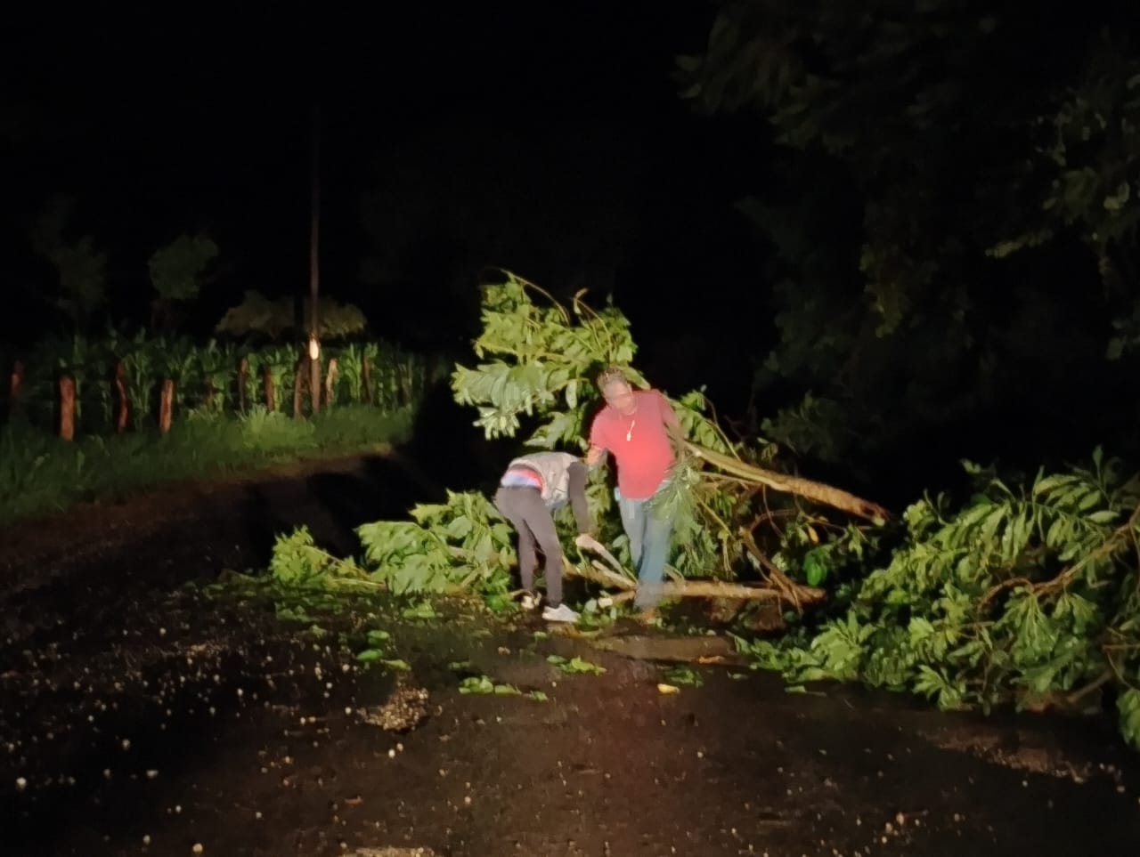 1694183549 212 Elementos de Seguridad Publica Municipal retirando arboles caidos por la