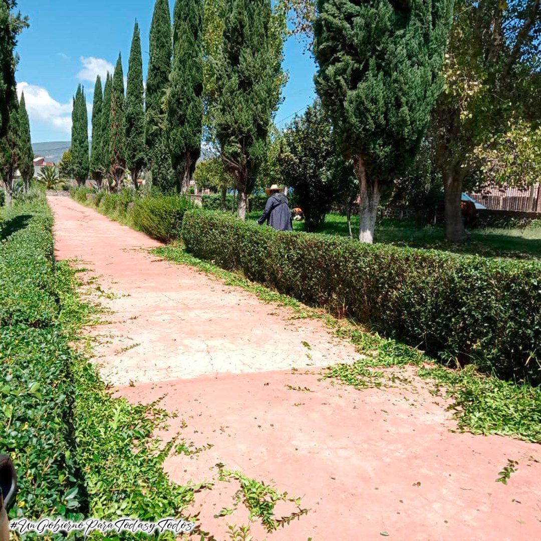 1694189259 959 La Coordinacion de Parques Jardines y Panteones del H Ayuntamiento