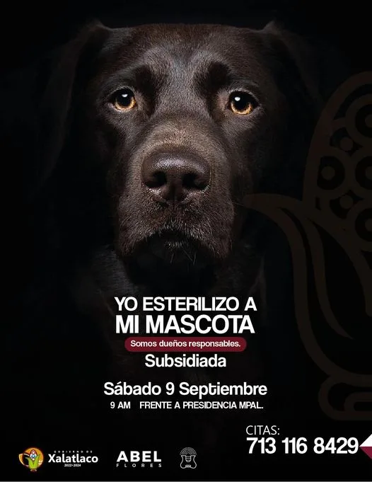 1694190341 Somos duenos responsables MiMascota jpg