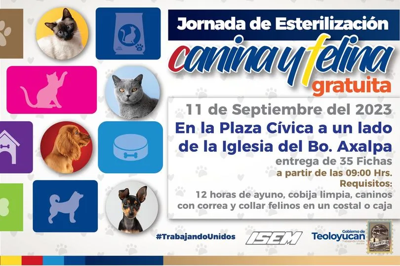 1694208549 Esterilizacion Canina y Felina TrabajandoUnidos jpg