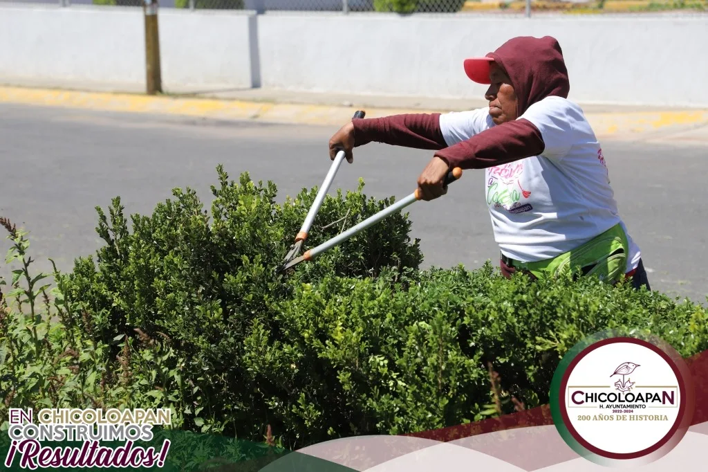 1694210461 Las actividades del programa enchulame la colonia continuan realizando la jpg