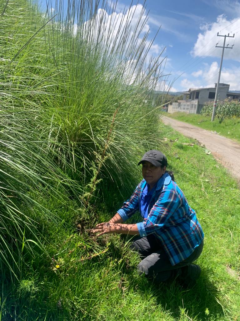 1694289010 A traves de la direccion de ecologia esta manana se