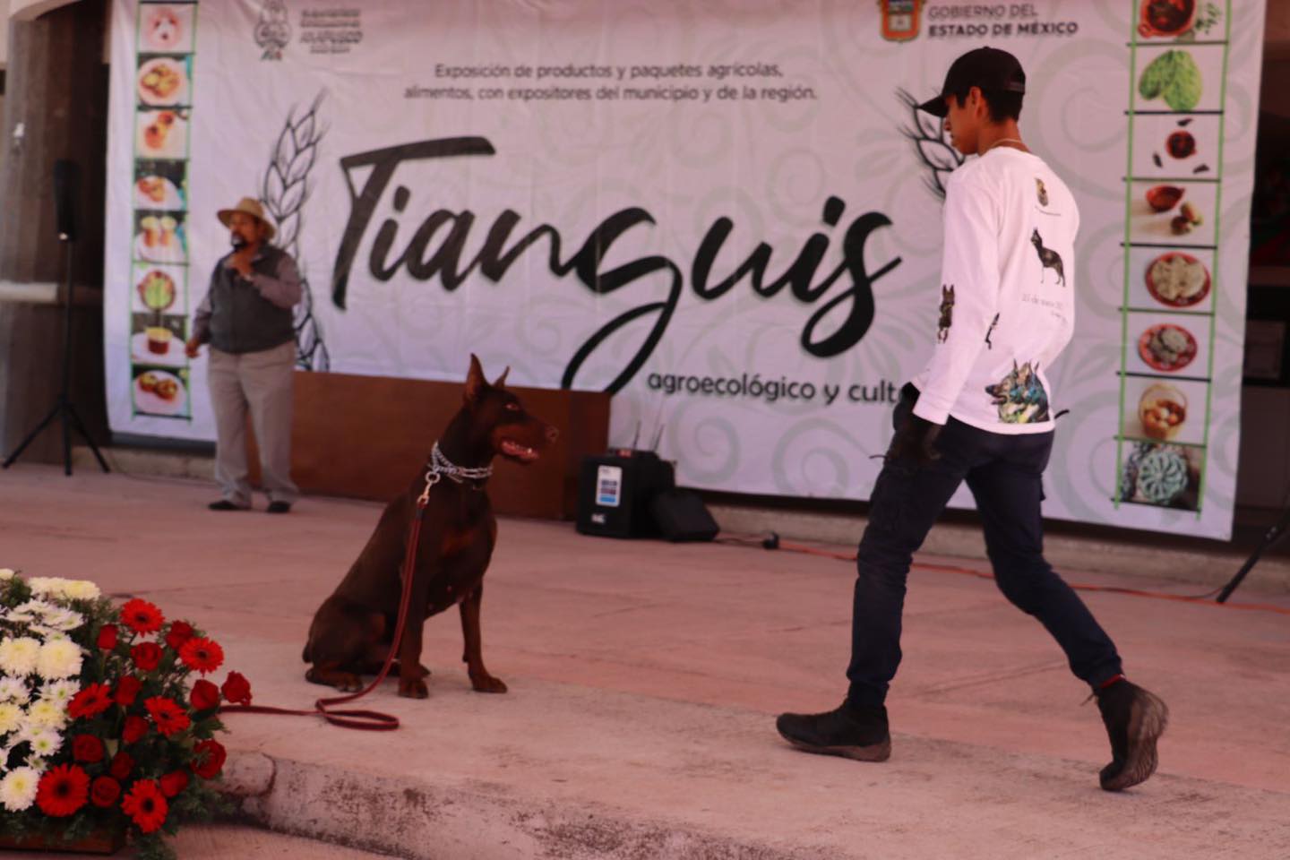 1694384281 519 Dog Sport tuvo su exposicion de disciplina canina en este