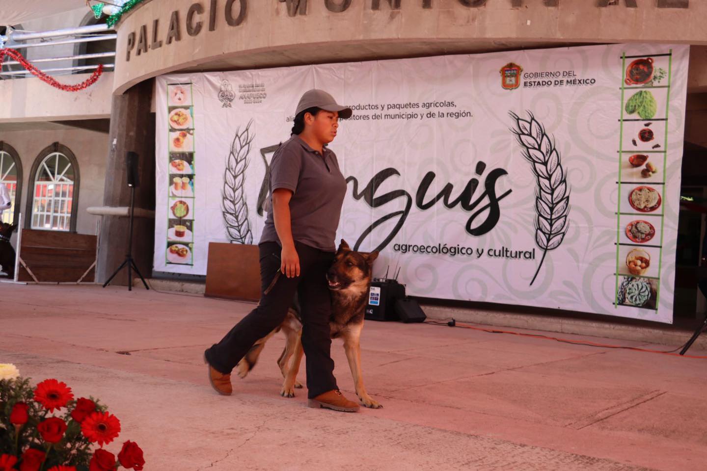 1694384289 127 Dog Sport tuvo su exposicion de disciplina canina en este