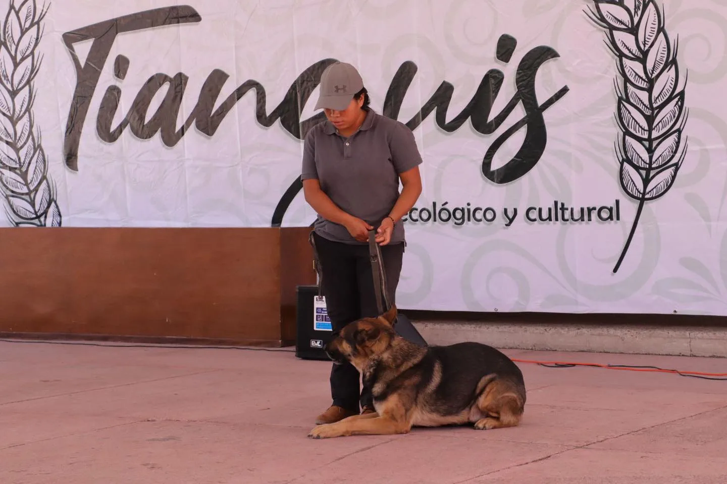 1694384316 Dog Sport tuvo su exposicion de disciplina canina en este jpg